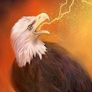 Meet your Posher, Edward